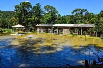 Chácara / sítio com 6 quartos à venda na Área Rural de Camboriú, Camboriú 