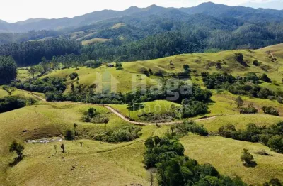 Chácara / sítio com 3 quartos à venda no Centro, Imaruí 