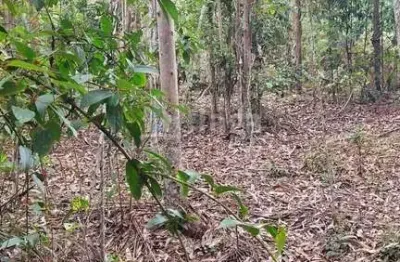 Chácara / sítio à venda no Tijipió, São João Batista 