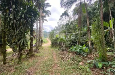 Chácara / sítio à venda em Claraíba, Nova Trento 