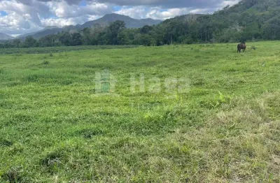 Chácara / sítio à venda no Moura, Canelinha 