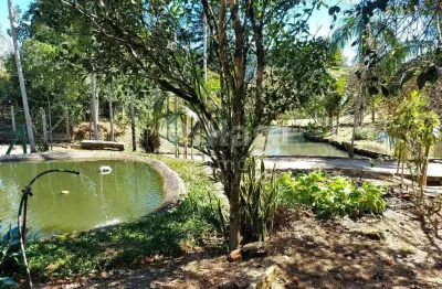 Chácara / sítio com 2 quartos à venda no Fernandes, São João Batista 