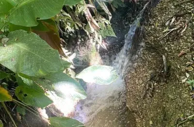 Chácara / sítio à venda no Tomaz Coelho, Brusque 