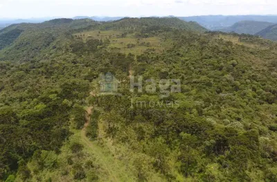 Chácara / sítio à venda na Zona Rural, Rio Rufino 