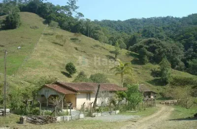 Chácara / sítio com 3 quartos à venda em Zona Rural, Botuverá 