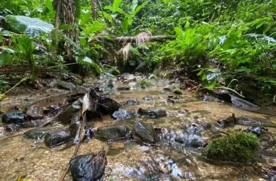 Terreno para chácara à venda no bairro Moura em Canelinha/SC