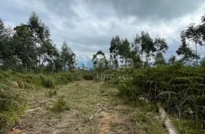 Terreno à venda no Centro, Nova Trento 