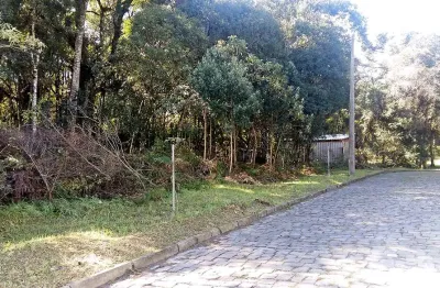 Terreno padrão para venda  no bairro são virgílio  em caxias do sul