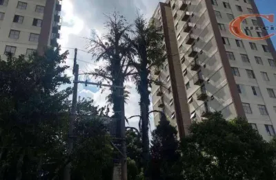 Apartamento com 2 dormitórios à venda, 58 m² por r$ 320.000,00 - vila campestre - são paulo/sp