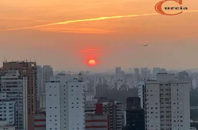 Apartamento com 3 dormitórios à venda, 166 m² por r$ 3.175.000,00 - vila mariana - são paulo/sp