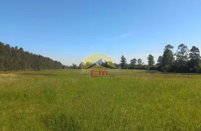 Chácara / sítio à venda no sanga funda, nova santa rita  por r$ 382.900