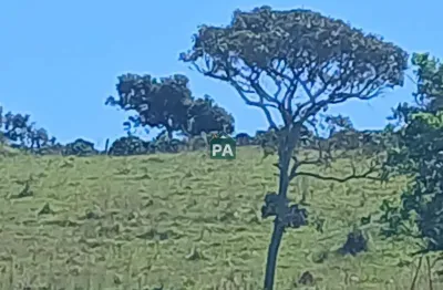 Chácara / sítio à venda na zona rural, cabo verde  por r$ 650.000