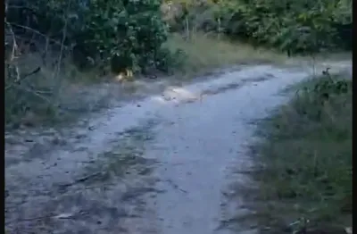 Fazenda com 6 salas à venda na Rua Gervásio Pires, 3444, Zona Rural, Barras