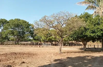 Fazenda com 4 salas à venda na Rua Hugo Napoleão, 454, Zona Rural, José de Freitas