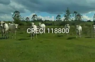Fazenda à venda na Praça Armando Sales De Oliveira 79, Centro, Laranjal Paulista