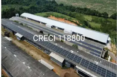 Chácara/sítio para venda fazenda velha cesário lange