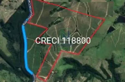 Fazenda à venda na Avenida Siqueira Campos, Centro, Elias Fausto