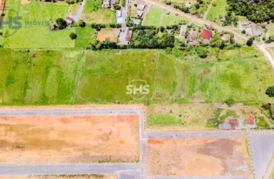 Terreno à venda, 46000 m² por r$ 9.000.000,00 - belchior baixo - gaspar/sc