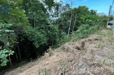Terreno à venda na Rua Diaconiza Gertrud Voigt, 270, Vila Formosa, Blumenau