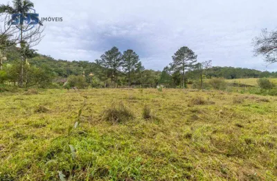 Terreno à venda, 63370 m² por r$ 3.500.000,00 - fortaleza alta - blumenau/sc