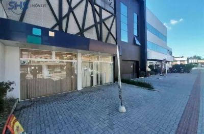 Loja para alugar com 500 m - itoupava norte - blumenau/sc