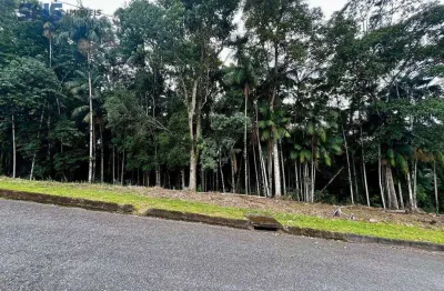 Terreno à venda, 765 m² por r$ 500.000,00 - velha - blumenau/sc