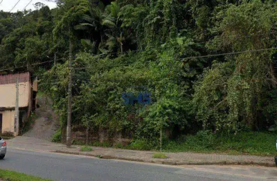 Terreno à venda, 1049 m² por r$ 700.000,00 - ponta aguda - blumenau/sc
