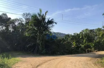 Terreno à venda, 3674 m² por r$ 650.000,00 - fidélis - blumenau/sc