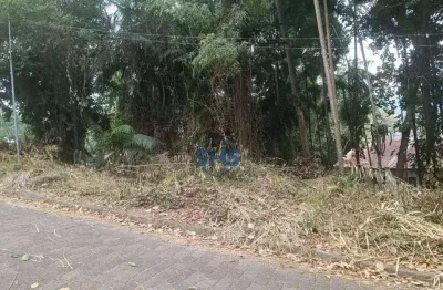Terreno à venda na Rua Arthur Gieseler, 466, Velha, Blumenau