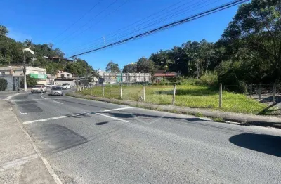 Terreno para alugar, 2314 m² por r$ 19.000,00/mês - itoupava norte - blumenau/sc