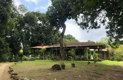 Chácara / sítio com 5 quartos à venda na Estrada De Aldeia - Km 08, Borralho, Camaragibe