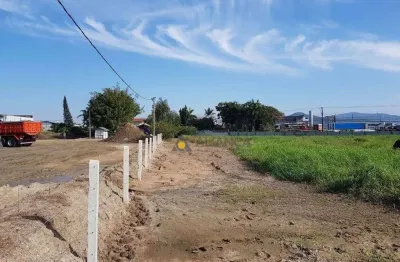 Terreno residencial à venda, salseiros, itajaí - te0040.