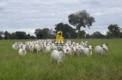 Fazenda à venda na Zona Rural, Araguaiana 