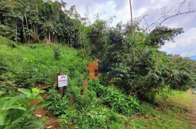 Terreno à venda, 1320 m² por r$ 100.000,00 - albuquerque - teresópolis/rj