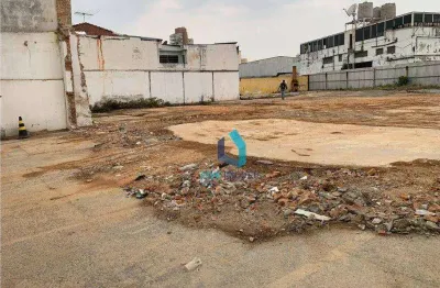 Terreno para alugar, 1500 m² por r$ 28.269,00/mês - vila carrão - são paulo/sp