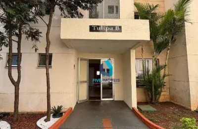 Apartamento com 2 dormitórios à venda, 55 m² por r$ 340.500,00 - vila arriete - são paulo/sp