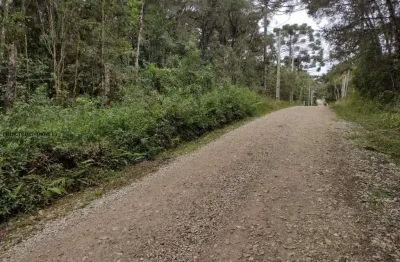Chácara para venda em campina grande do sul, timbu velho