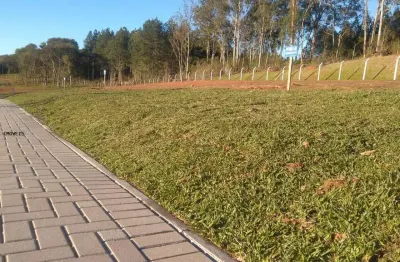 Terreno à venda na Rodovia do Caqui, Jardim Daher, Campina Grande do Sul