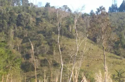 Chácara / sítio à venda na Br 116 Km 51, 51, Paiol De Baixo, Campina Grande do Sul