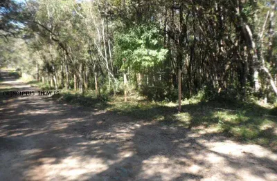 Chácara para venda em campina grande do sul, timbu velho