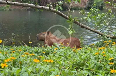 Lote 1400 m² - condomínio condados da lagoa  - lagoa santa codigo: 51452