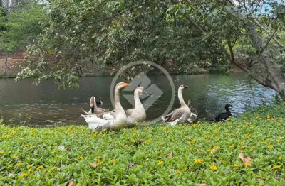 Lote 1400 m² - condomínio condados da lagoa  - lagoa santa codigo: 51453