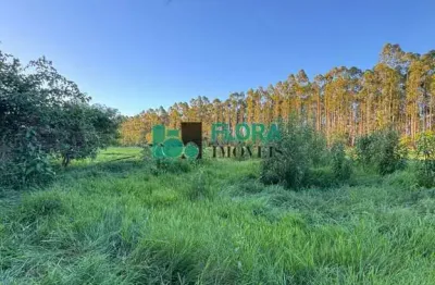 Terreno à venda na Estrada Lopez, 181, Vila Guadiana, Mandaguaçu
