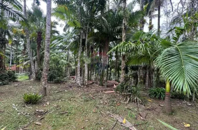 Terreno à venda na Estancia São Jose, Peruíbe 