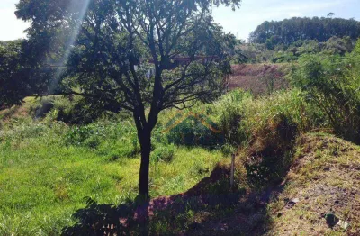 Terreno comercial e residencial à venda, 3491 m² por r$ 1.400.000 - mirantes das estrelas - vinhedo/sp