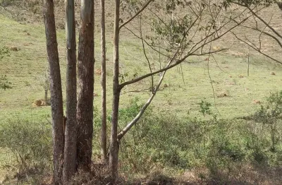 Chácara / sítio à venda na Avenida Juiz de Fora, Grama, Juiz de Fora