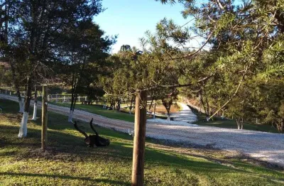 Terreno para venda tem 10000 metros quadrados, roseira colombo pr