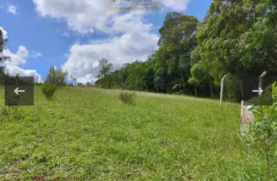 Chácara / sítio à venda na Zona Rural, Campina Grande do Sul 