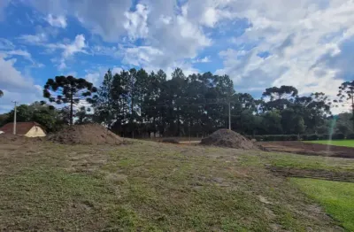 Chácara / sítio à venda na Rua Coronel Monteiro, Zona Rural, Campina Grande do Sul