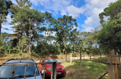 Chácara / sítio à venda na Rua Coronel Monteiro, Zona Rural, Campina Grande do Sul